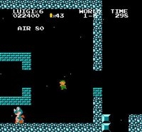 Luigi and the Quest for Nothing DX screenshot, image №2212474 - RAWG