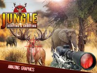 Jungle Hunting And Shooting screenshot, image №1657563 - RAWG