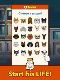 DogLife: BitLife Dogs screenshot, image №3100024 - RAWG