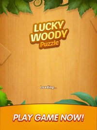 Lucky Woody Puzzle: Wood Block screenshot, image №2534966 - RAWG