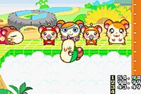 Hamtaro: Ham-Ham Games screenshot, image №3099065 - RAWG