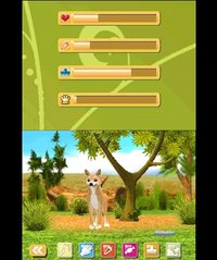 Outback Pet Rescue 3D screenshot, image №781502 - RAWG