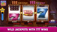 Wild Double Slots: Free Casino Slots Games screenshot, image №1460896 - RAWG