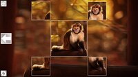 Puzzle Art: Primates screenshot, image №3076695 - RAWG