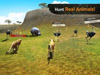 The Cheetah: Online RPG Simulator screenshot, image №924584 - RAWG