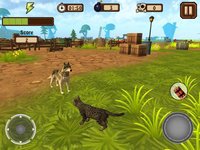 A Catty Cat World screenshot, image №2143107 - RAWG