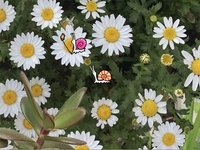 SUN SHOWER (Komitsu) screenshot, image №2372417 - RAWG