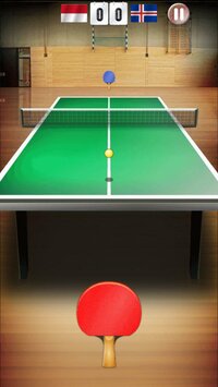 Table Tennis World Tour screenshot, image №2689071 - RAWG