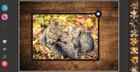 Cat's Life Jigsaw Puzzles screenshot, image №2759130 - RAWG