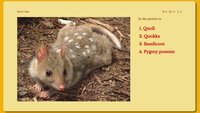 Walter's Trivia Challenge screenshot, image №3835454 - RAWG
