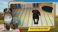 DogHotel: My Dog Boarding Kennel screenshot, image №1519894 - RAWG