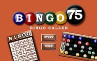 Bingo 75 screenshot, image №2086521 - RAWG
