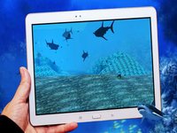 Angry Shark Bite 3D screenshot, image №1954773 - RAWG