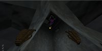 BIRD LORD screenshot, image №1269022 - RAWG