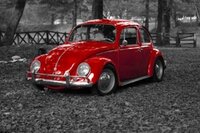 beetle (Kostya Saintly) screenshot, image №3147601 - RAWG