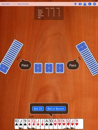 Cutthroat Pinochle Gold screenshot, image №1622746 - RAWG