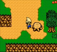 Harvest Moon 3 GBC (2000) screenshot, image №806562 - RAWG