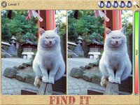 Findit (HD) - 200 Pictures screenshot, image №1986799 - RAWG