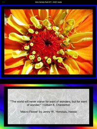 PrismaPix Gold screenshot, image №945072 - RAWG
