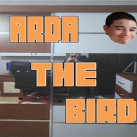 Arda The Bird screenshot, image №2591886 - RAWG