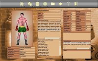 World Boxing Manager (itch) screenshot, image №1044538 - RAWG