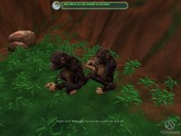 Zoo Tycoon 2: African Adventure screenshot, image №449167 - RAWG