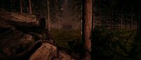 In The Woods (Mohammad Al Rafi) screenshot, image №2404227 - RAWG