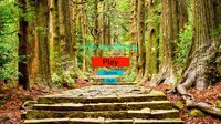 Into the Woods (Gigiofig) screenshot, image №1968255 - RAWG