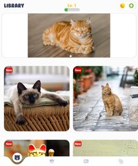 Jigsaw Galaxy: Cats Edition screenshot, image №3801566 - RAWG