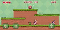 Ninja Frog Platformer screenshot, image №2416364 - RAWG