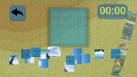 Ultimate Puzzles Marine Life 3 screenshot, image №3254592 - RAWG