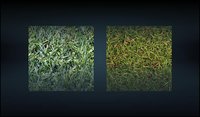 QS Materials Nature - Pack Grass vol.1 screenshot, image №1861072 - RAWG