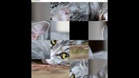 hgmGame-cat screenshot, image №4178168 - RAWG