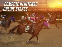 Photo Finish Horse Racing screenshot, image №1484273 - RAWG