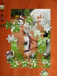 Pony Puzzles screenshot, image №948568 - RAWG