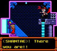 Shantae screenshot, image №243768 - RAWG