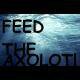 FEED THE AXOLOTl screenshot, image №2761227 - RAWG