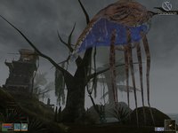 The Elder Scrolls III: Morrowind screenshot, image №290014 - RAWG