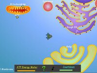 Cell Explorer: The Animal Cell screenshot, image №2597431 - RAWG