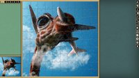 Pixel Puzzles Traditional Jigsaws screenshot, image №2218149 - RAWG