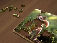 Super Jigsaws Dogs screenshot, image №1330786 - RAWG