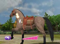 Pony Friends 2 screenshot, image №254434 - RAWG