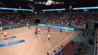 Handball Challenge 14 screenshot, image №283426 - RAWG