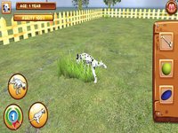 Play with your Dog: Dalmatian screenshot, image №1695182 - RAWG