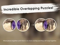 Venn Elephants: Overlapping Jigsaw Puzzles screenshot, image №1788602 - RAWG