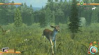 Deer Hunt Legends screenshot, image №199264 - RAWG