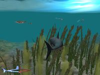 Jaws Unleashed screenshot, image №408216 - RAWG