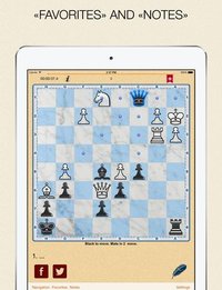 Mate in 2? OK! v.3 screenshot, image №1742416 - RAWG