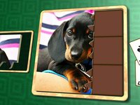 Jigsaw Solitaire Baby Animals screenshot, image №1330759 - RAWG