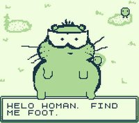 Hamster Footure screenshot, image №2197215 - RAWG